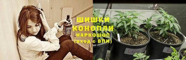 каннабис Баксан