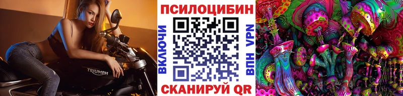 Купить где  Асино  Псилоцибиновые грибы Psilocybine cubensis 